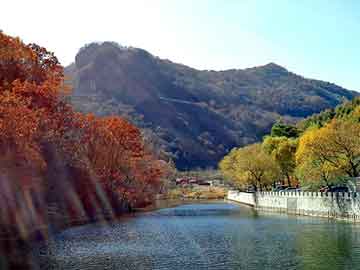 新澳天天开奖资料大全旅游团，和县物流